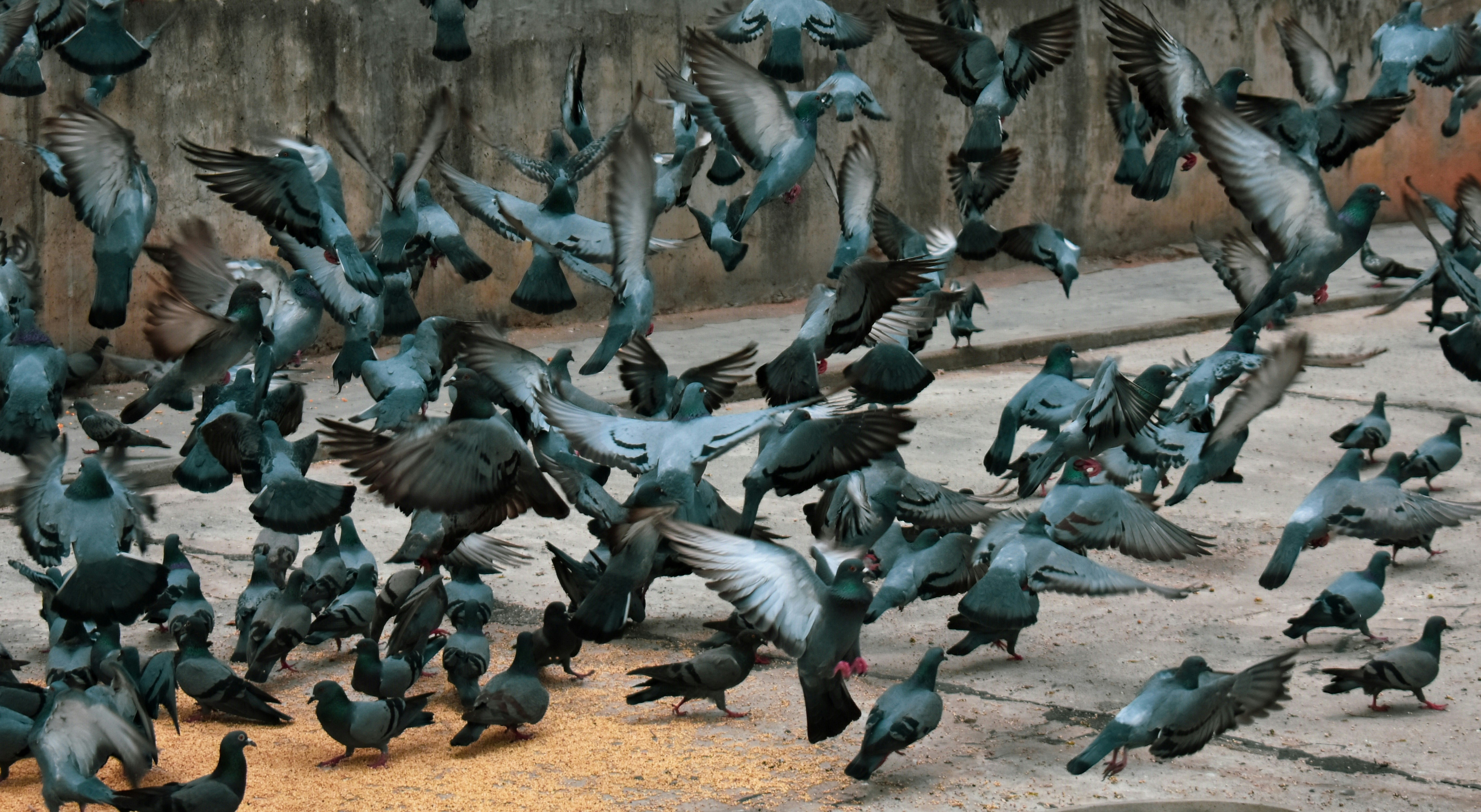 Photo by atomsmasher