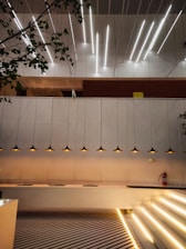 a room with a wood floor and a wood ceiling with a tree