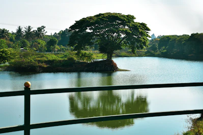 a body of water with trees and a land with a rock in the middle