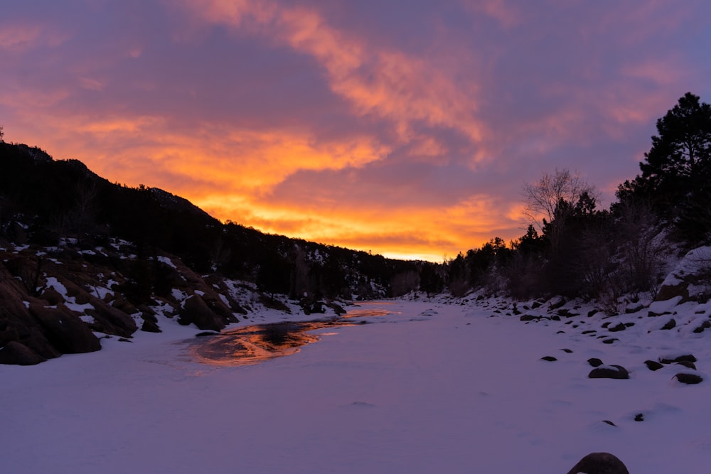 a snowy landscape with trees and a body of water