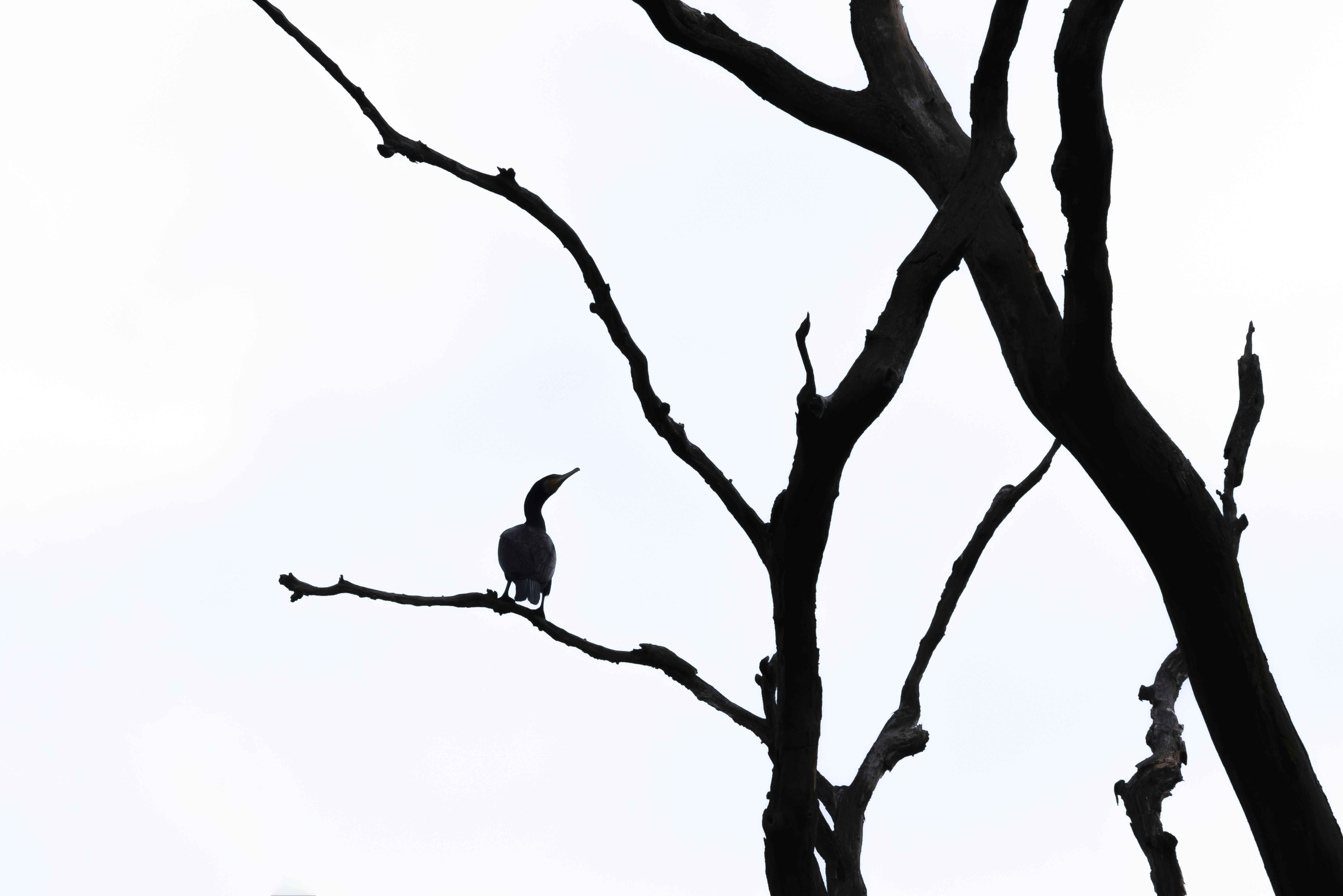 Photo by switch_dtp_fotografie