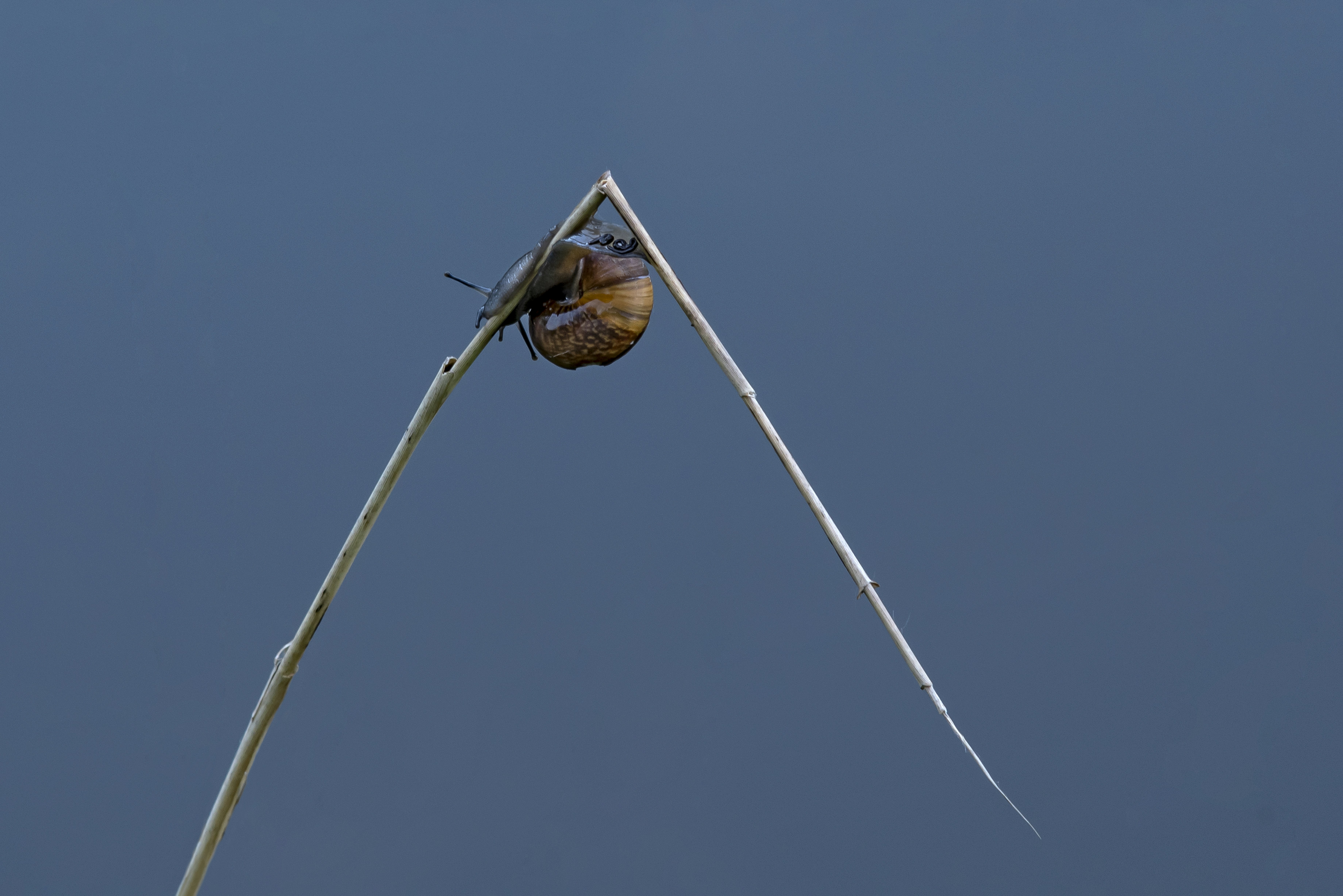 Photo by switch_dtp_fotografie