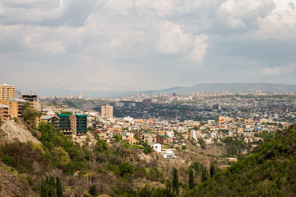 a city with trees and buildings