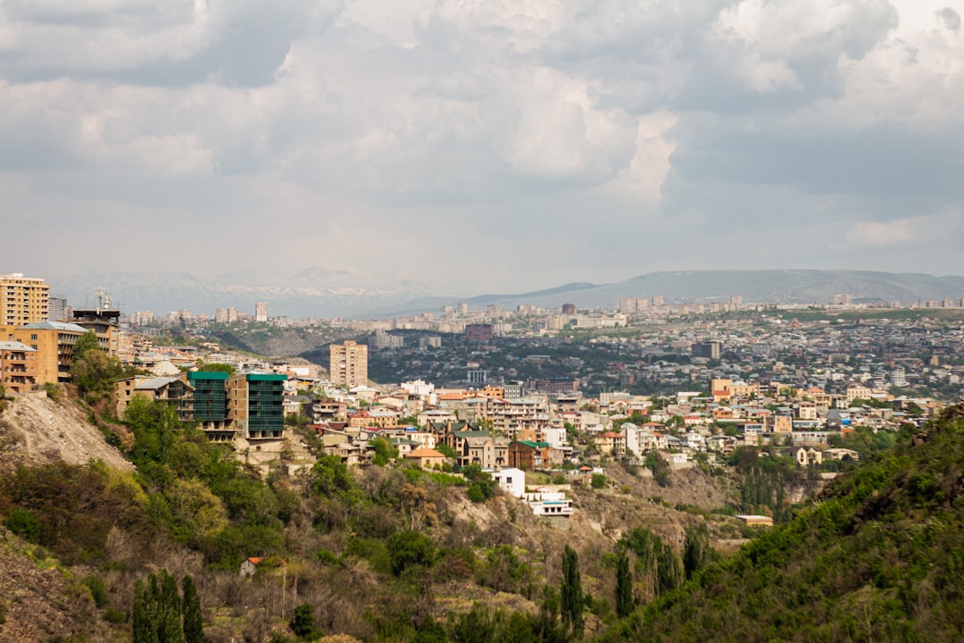a city with trees and buildings,