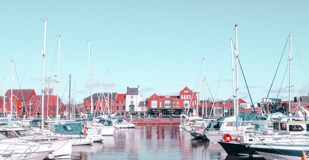 a group of boats in a harbor