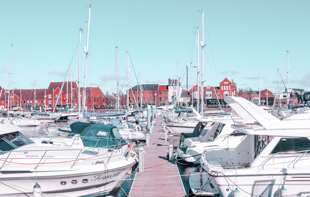 a dock with many boats