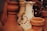 A close-up of a handcrafted pottery piece showcasing intricate textures and earthy colors.