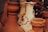 A close-up of a handcrafted pottery piece showcasing intricate textures and earthy colors.