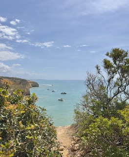a body of water with boats in it and trees around it