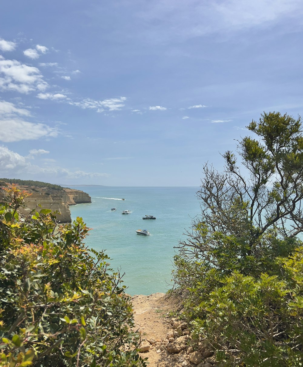 a body of water with boats in it and trees around it