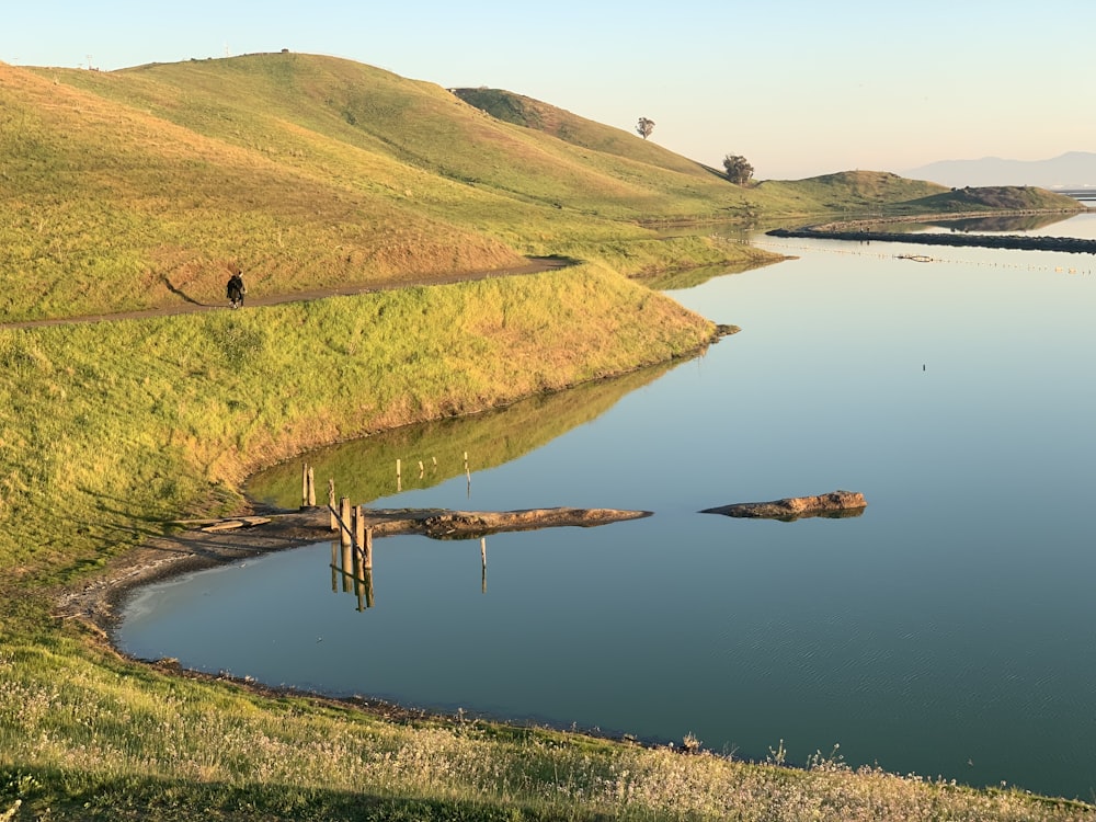 uno specchio d'acqua circondato da erba e colline