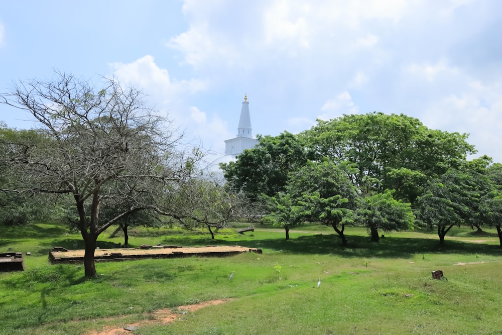 a park with trees and a church in the background