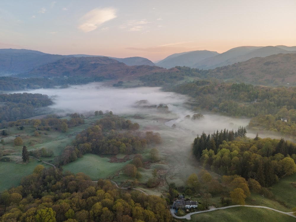 a foggy valley with trees and a house in the middle