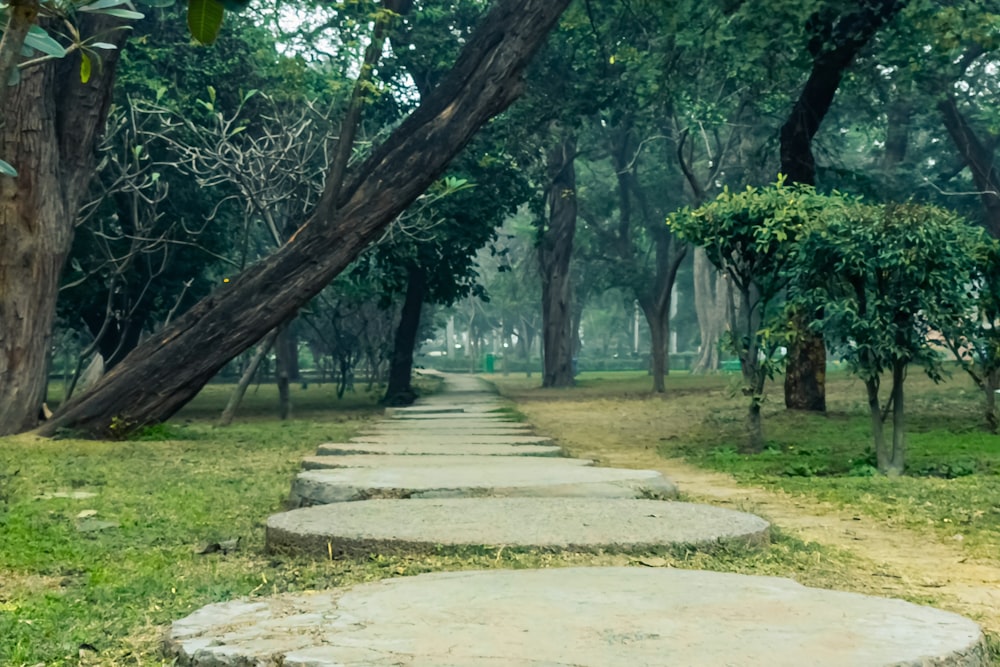 a path through a park