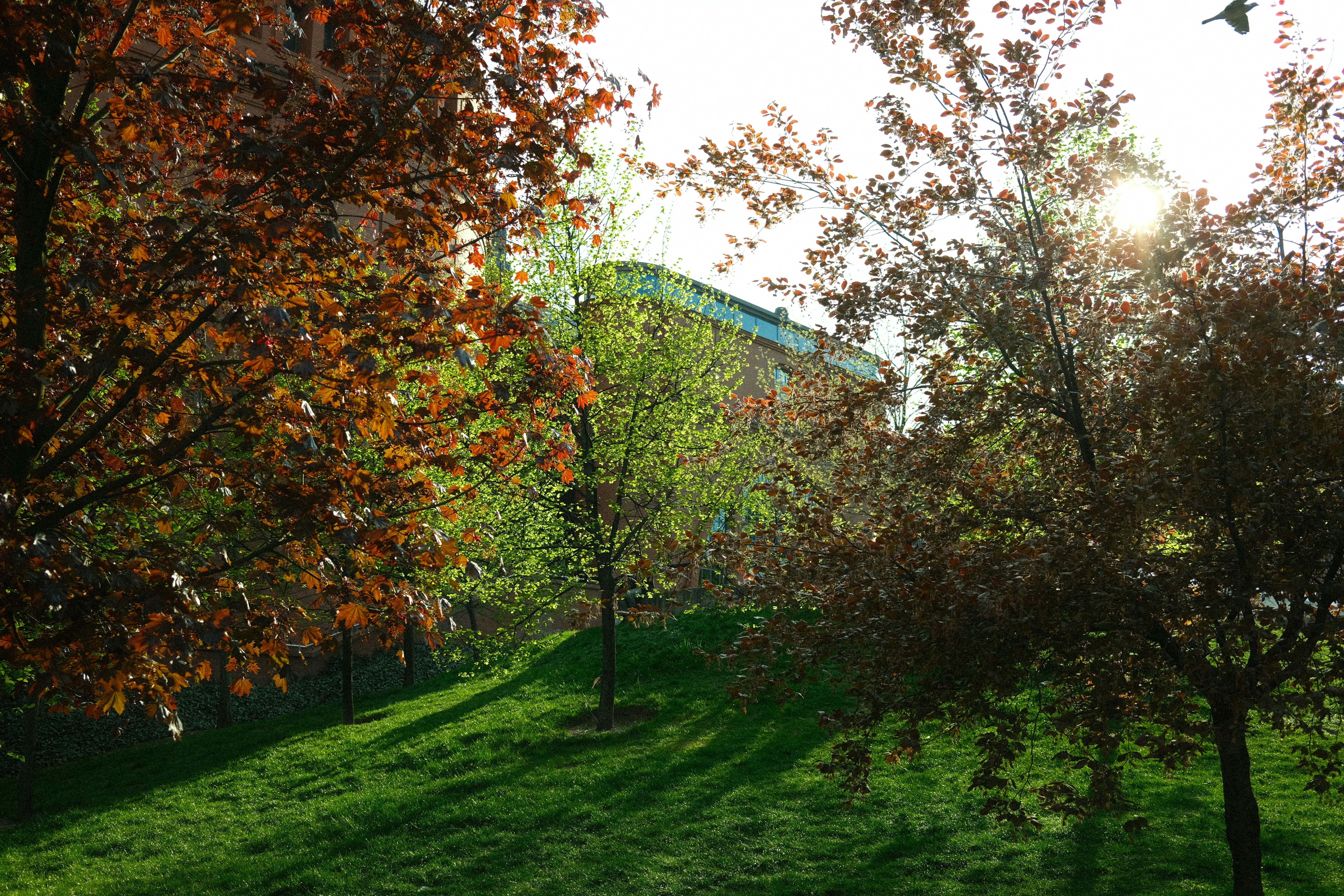 Photo by egorkomarov