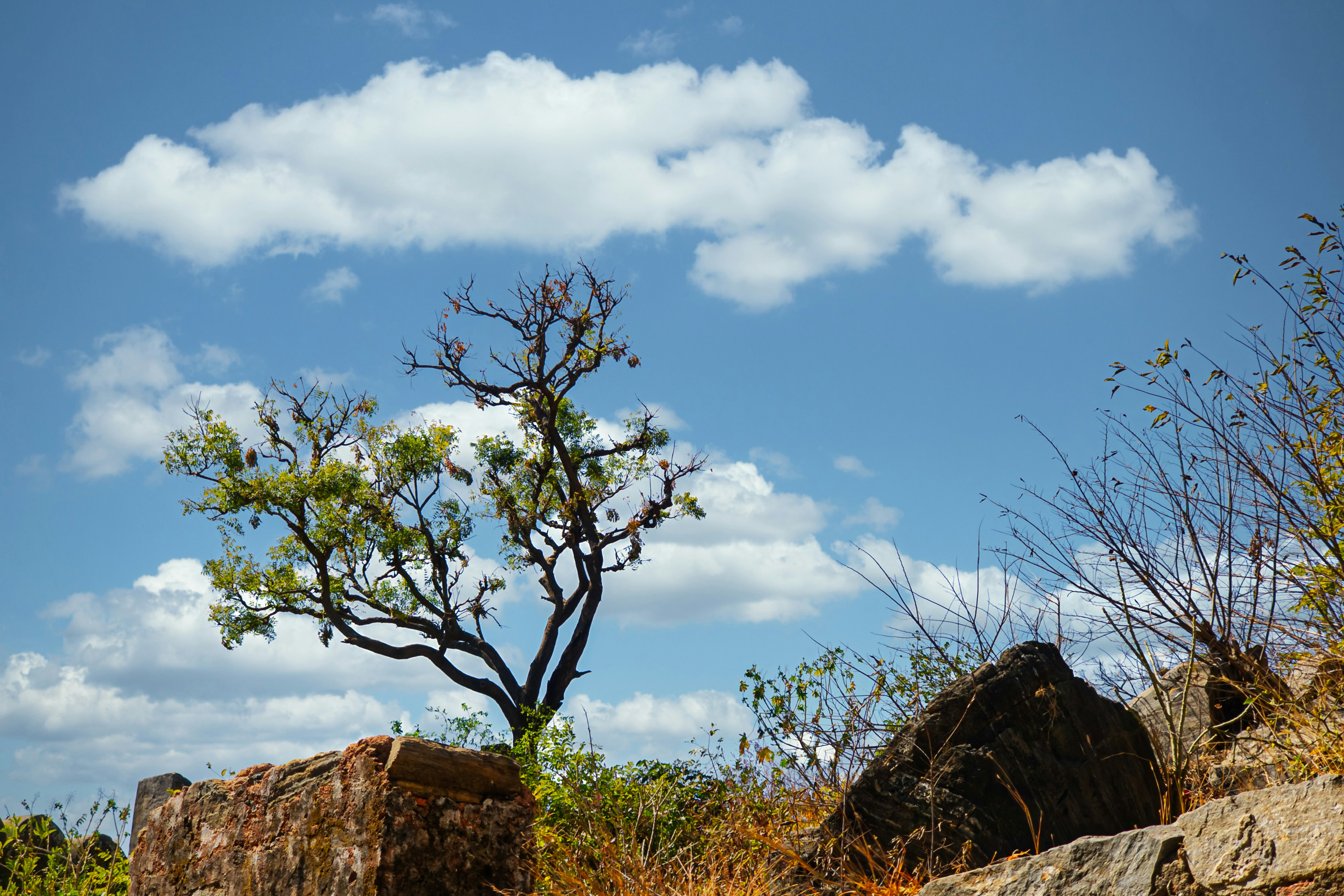 Photo by deveshsangwan