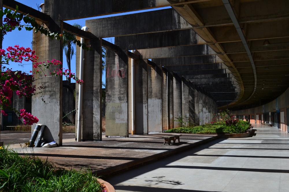 a concrete walkway with a bench