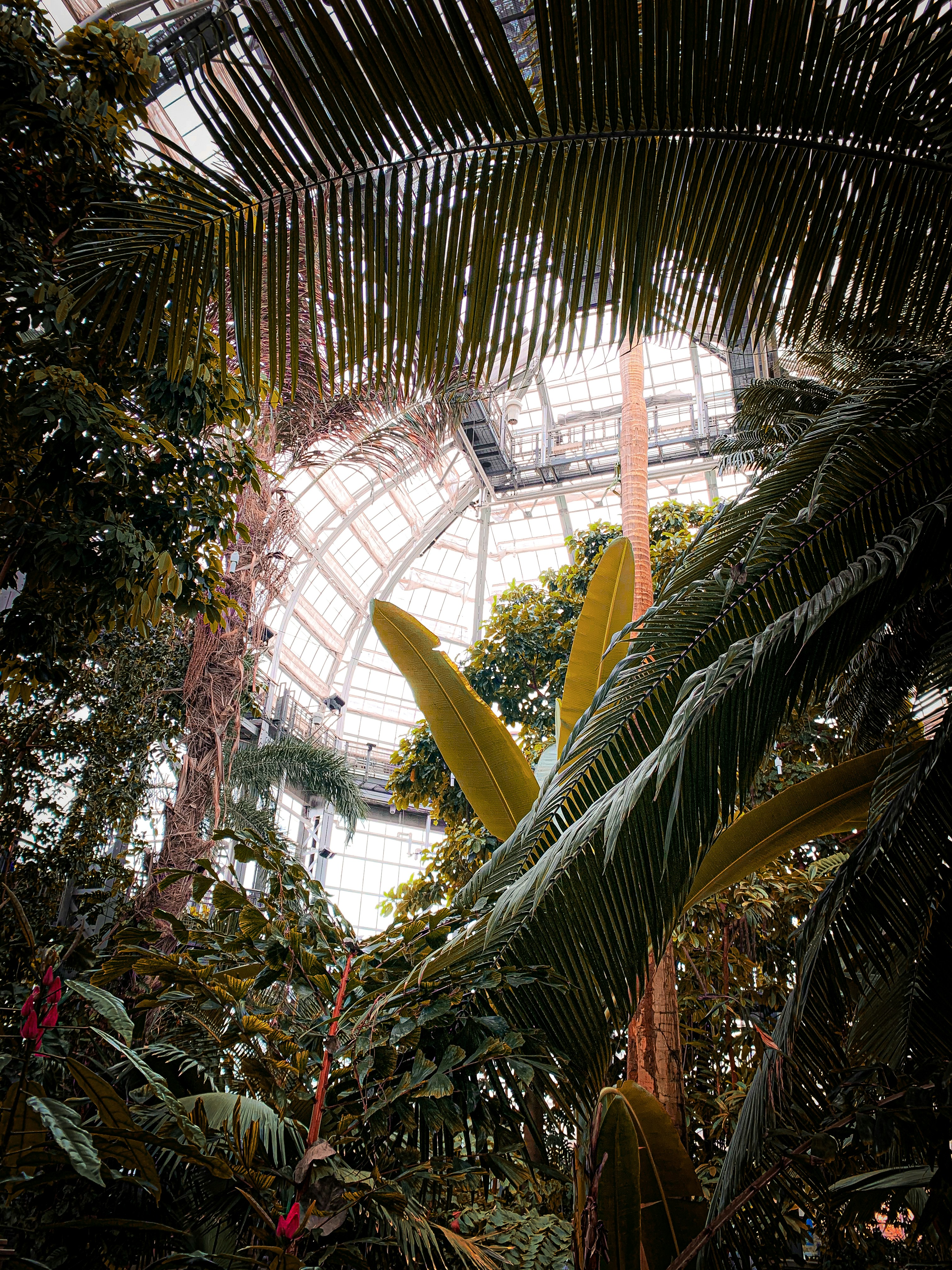 Photo by elliotlanham