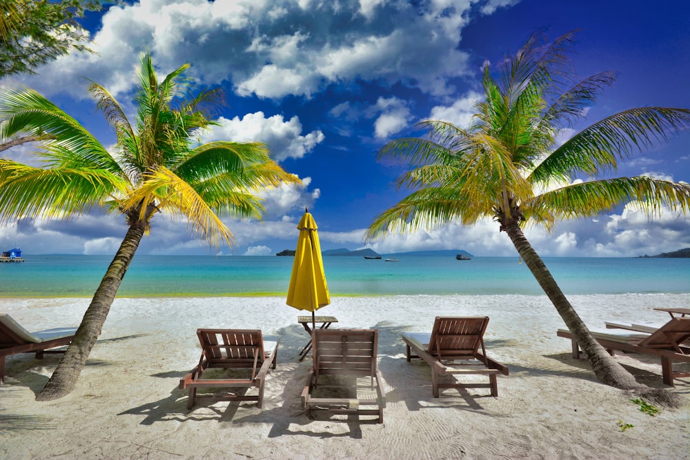 chairs and umbrellas on a beach