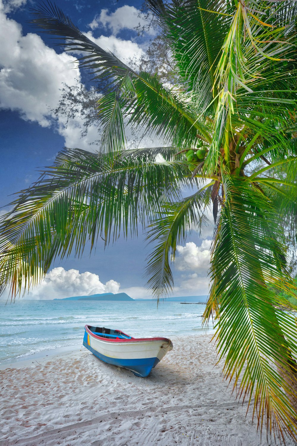 a boat on a beach