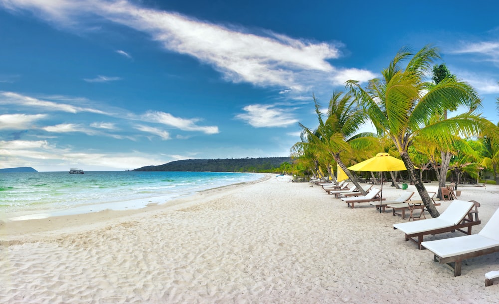 a beach with chairs and umbrellas