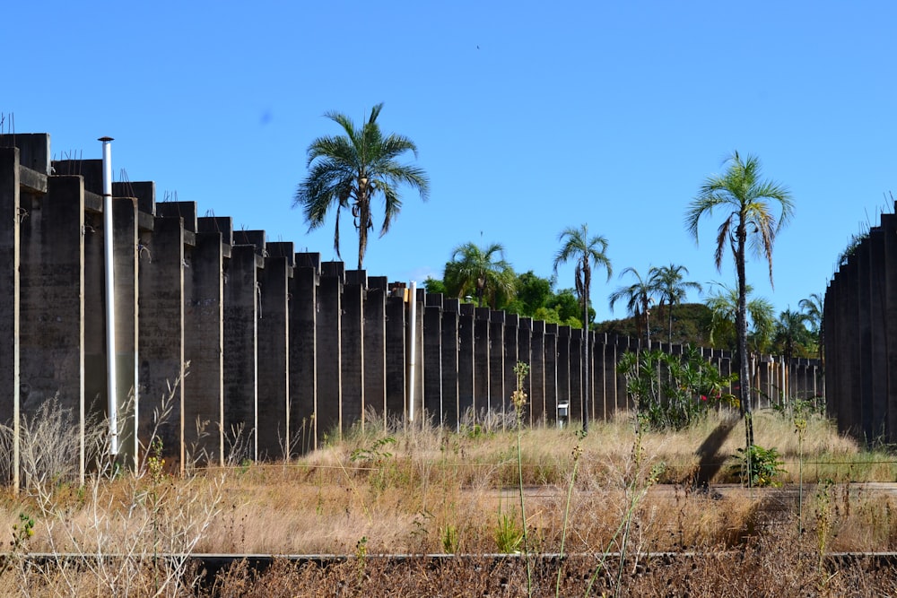 a fenced off area with trees and bushes