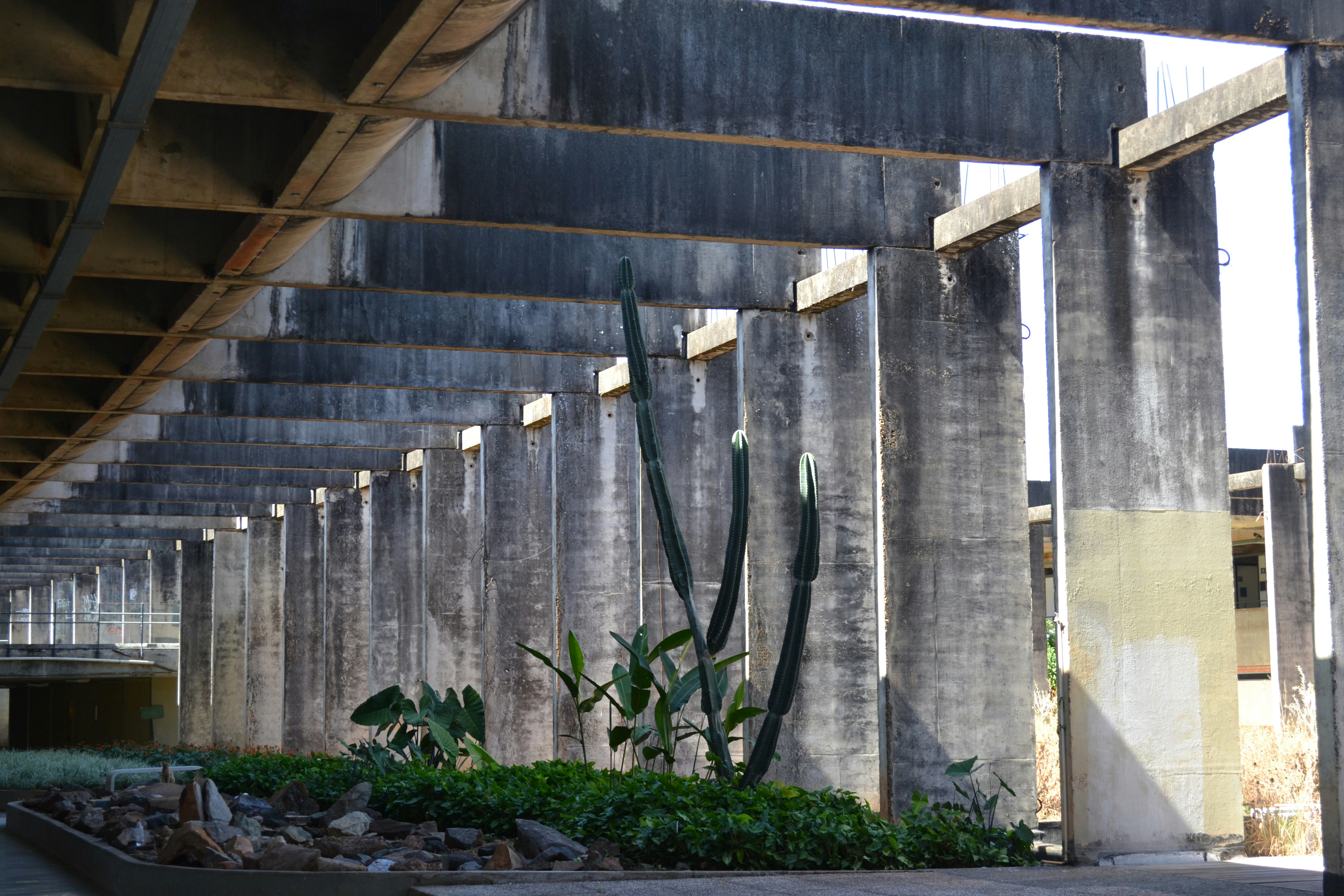 a large concrete structure with plants growing out of it, ICC, UnB, 2022.