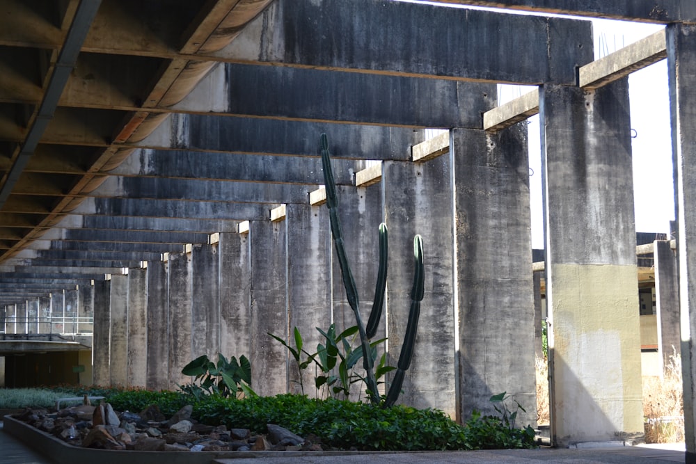 a large concrete structure with plants growing out of it