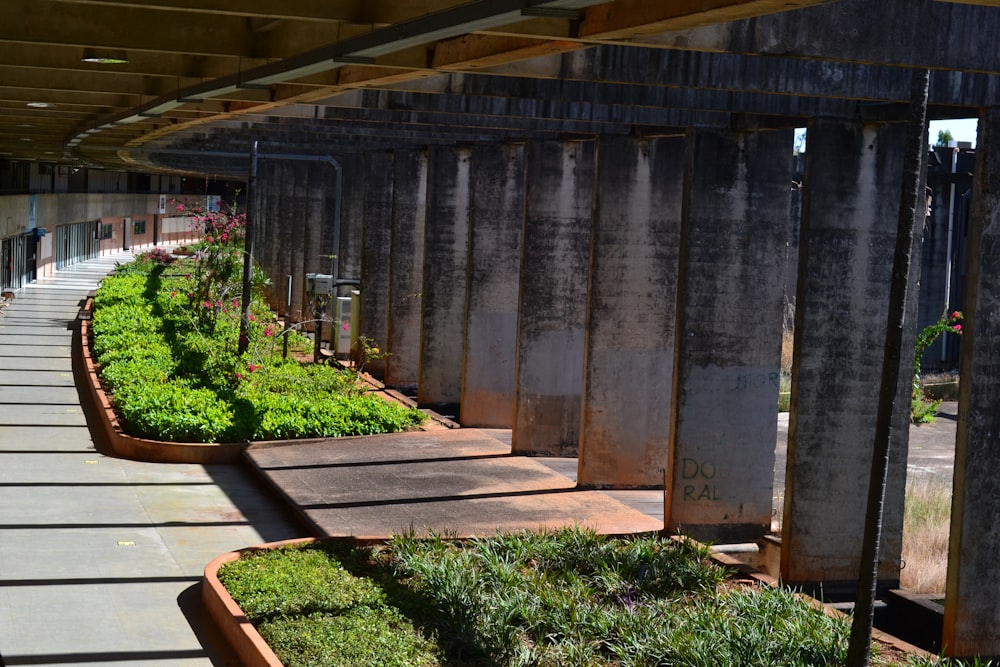 a large concrete structure with plants and a walkway