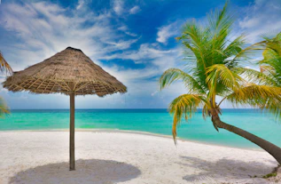a straw umbrella on a beach
