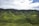 Rolling green hills dominate the landscape, covered extensively with lush tea plantations. The skies above are partly cloudy, creating a serene and natural atmosphere, while a dense forest occupies the background.