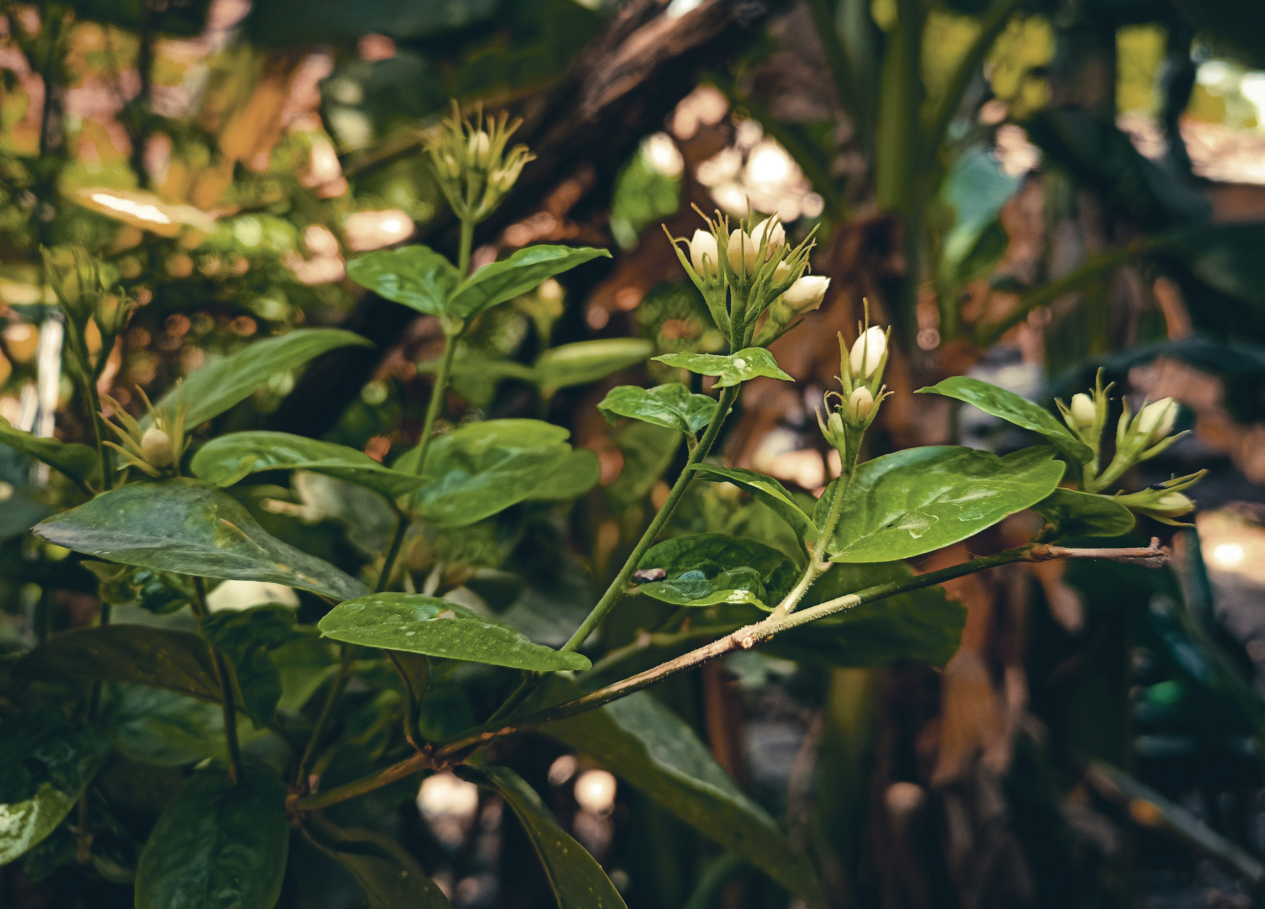 Photo by yuvrajthakur09