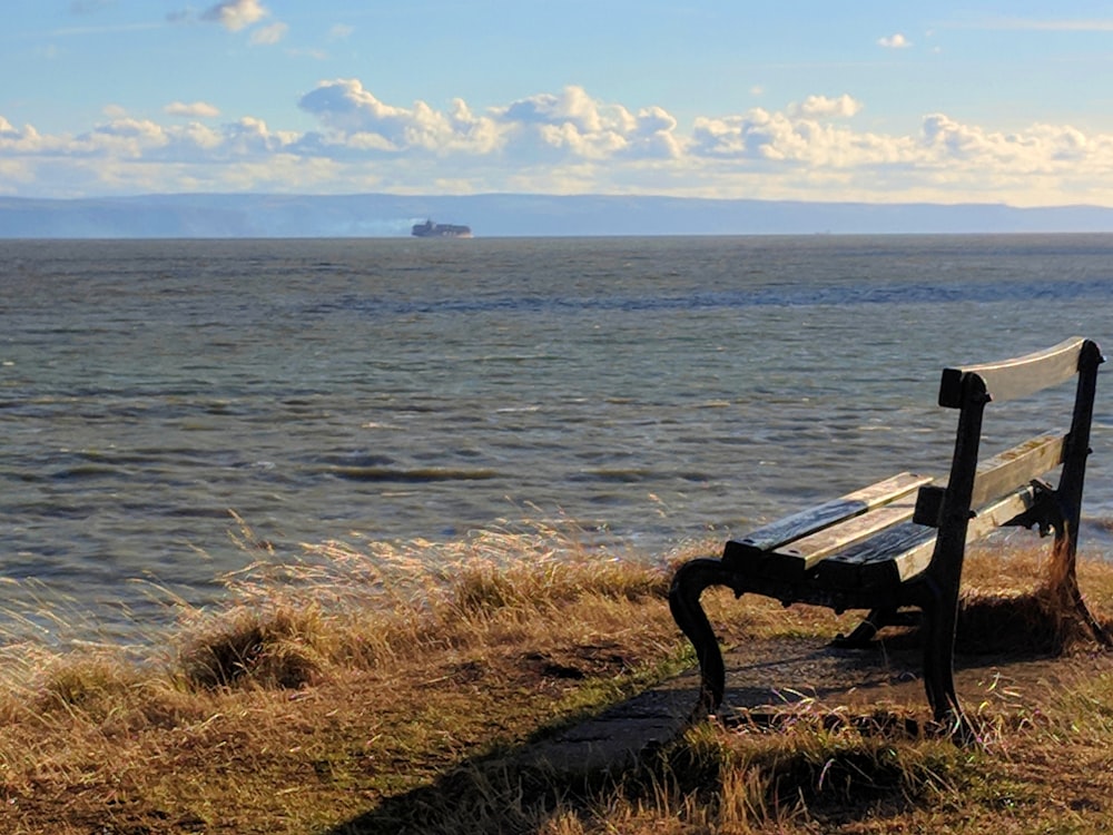 a bench sits by the water