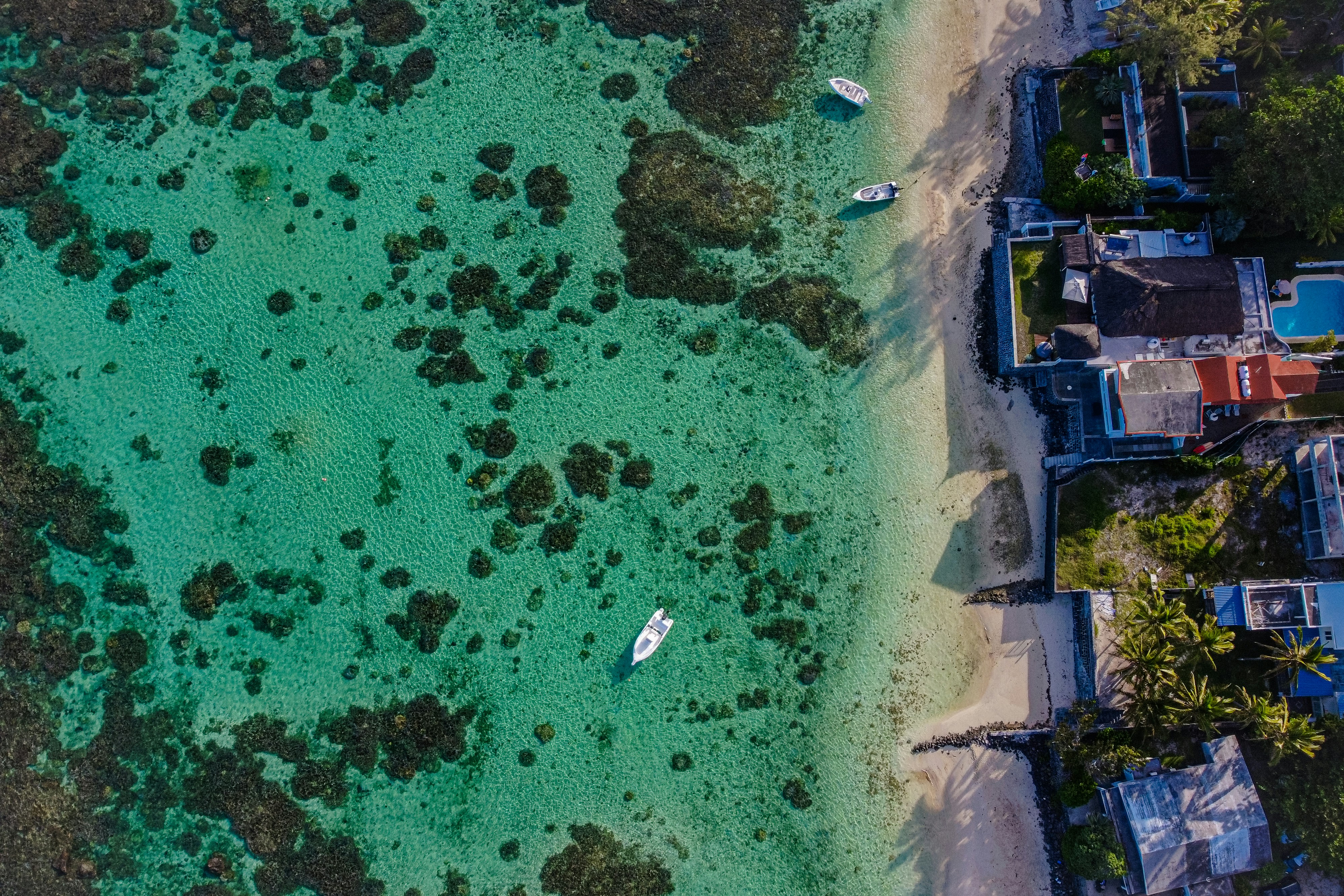 Photo by tatarbunarin