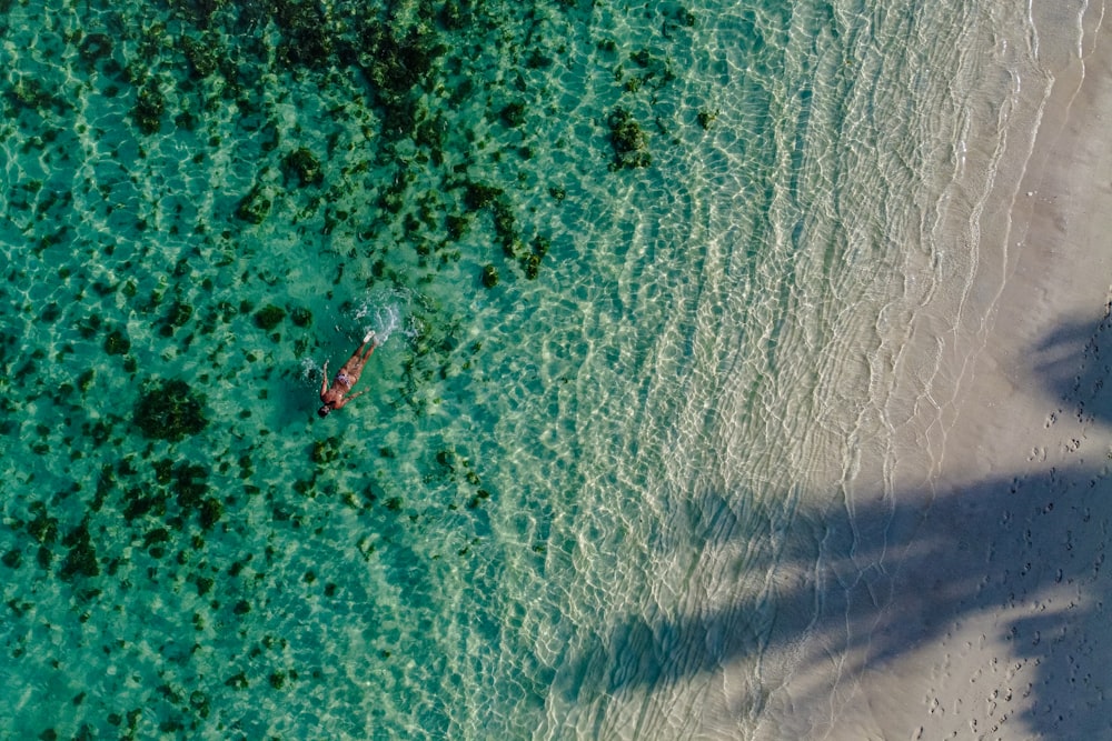 a person flying a kite