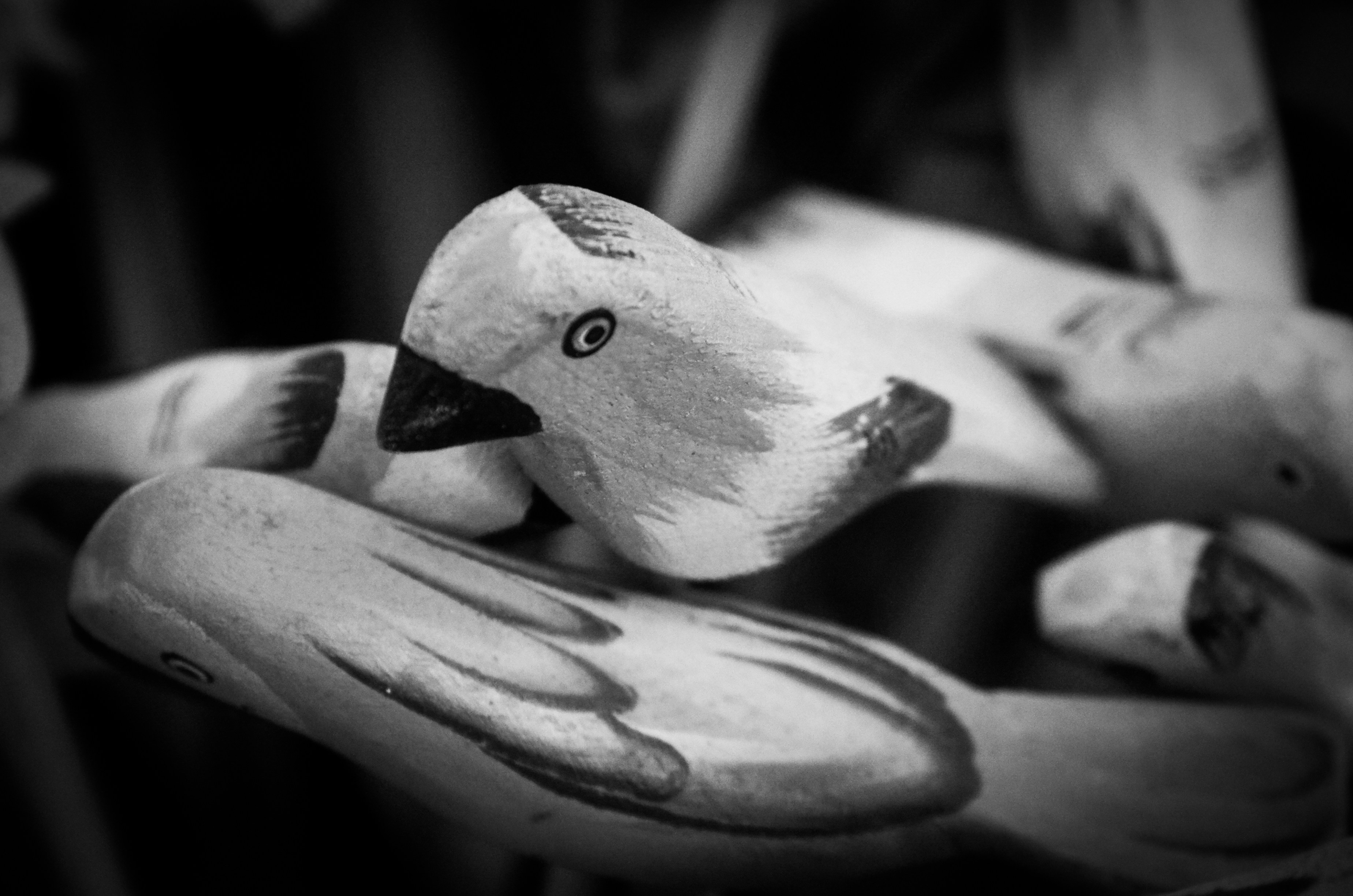 Best Wooden Bird Toys Complete Buying Guide