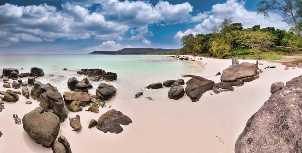 a rocky beach with trees and water