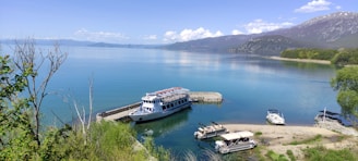 A serene summer lake scene with a small boat docked, wildflowers blooming nearby under a bright blue sky.