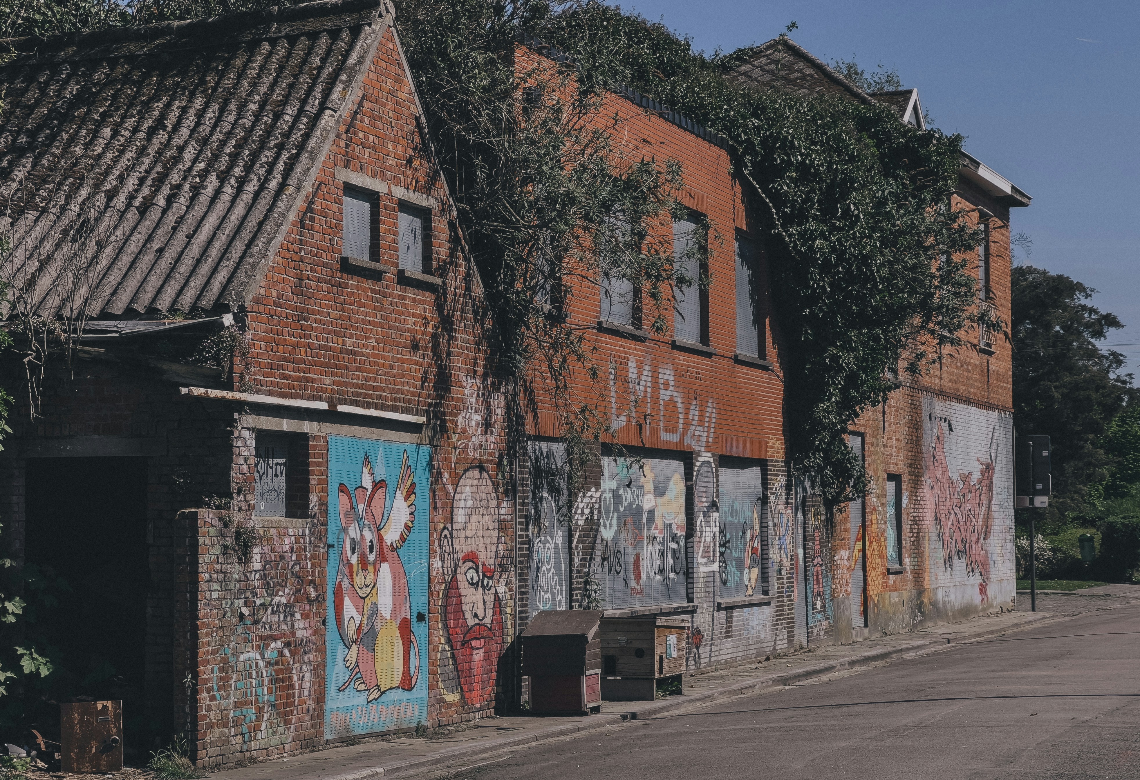 Photo by nick_hoogkamer