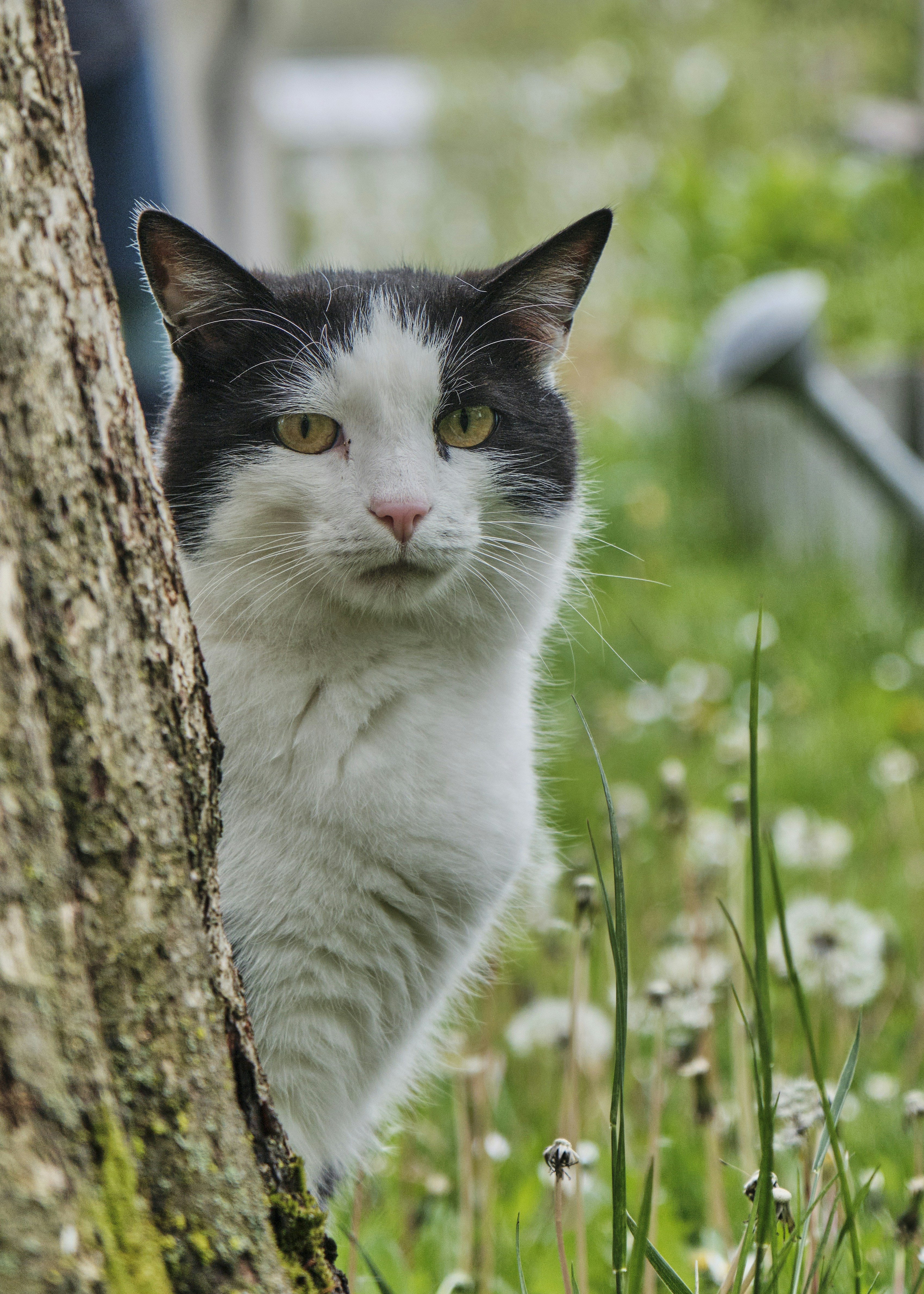 Photo by tassilogroeper