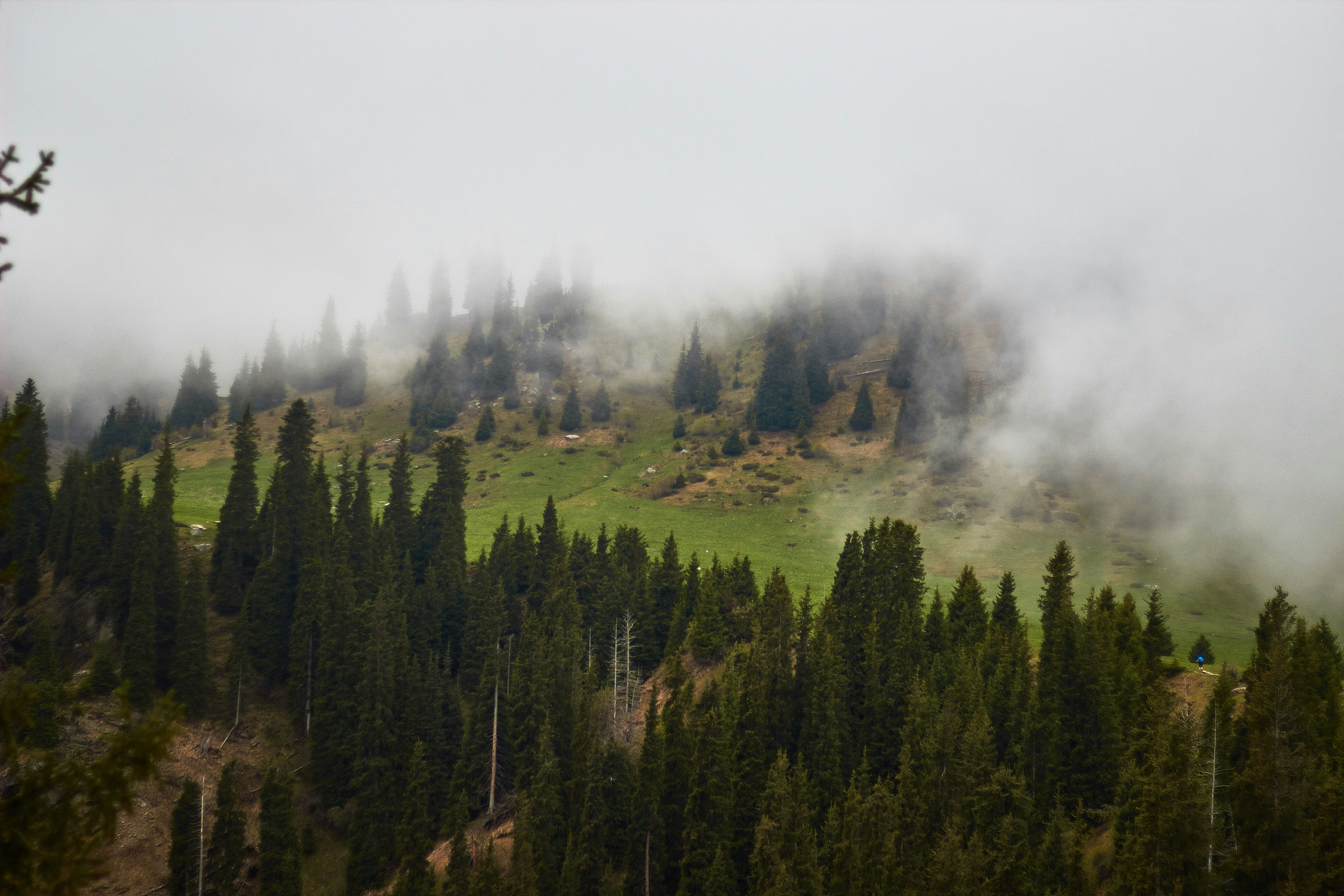 Photo by barsuklis