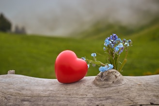 a red apple on a wooden surface