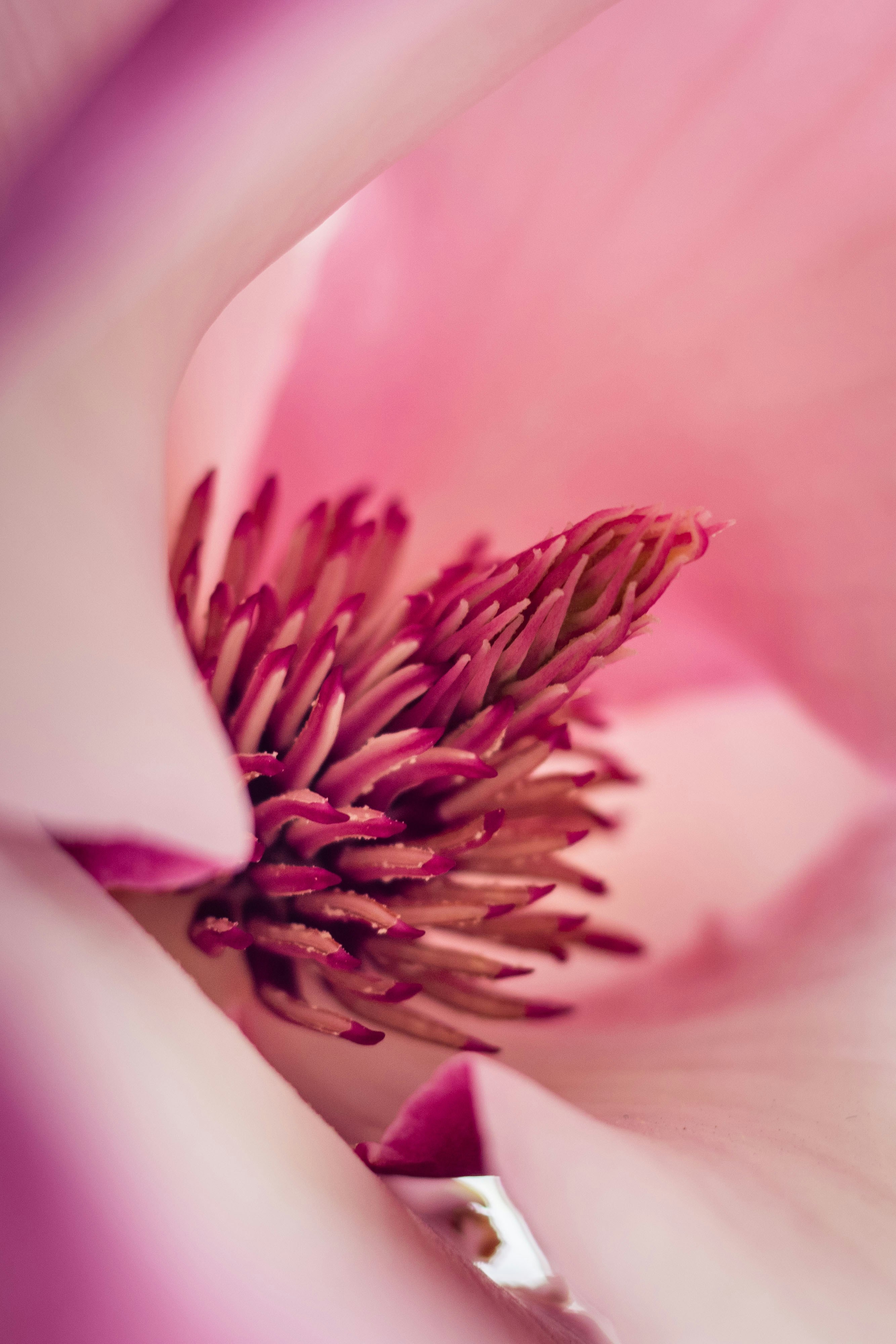 Photo by uin84917798