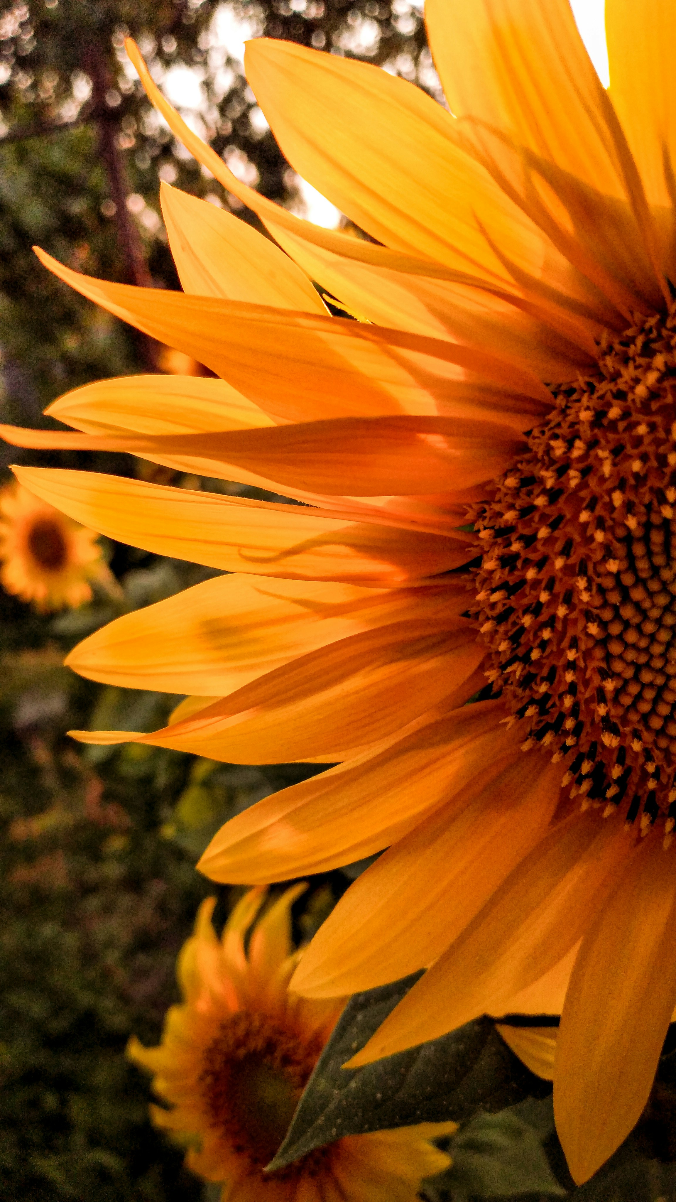 Photo by dascalescu_anna