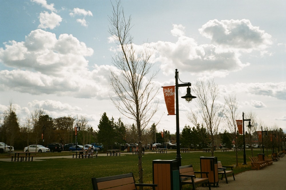 a park with benches and trees