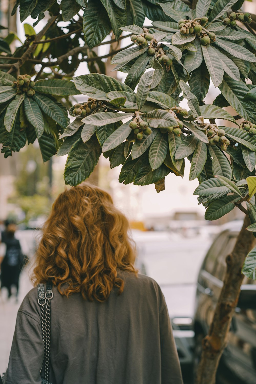 a woman looking at a tree