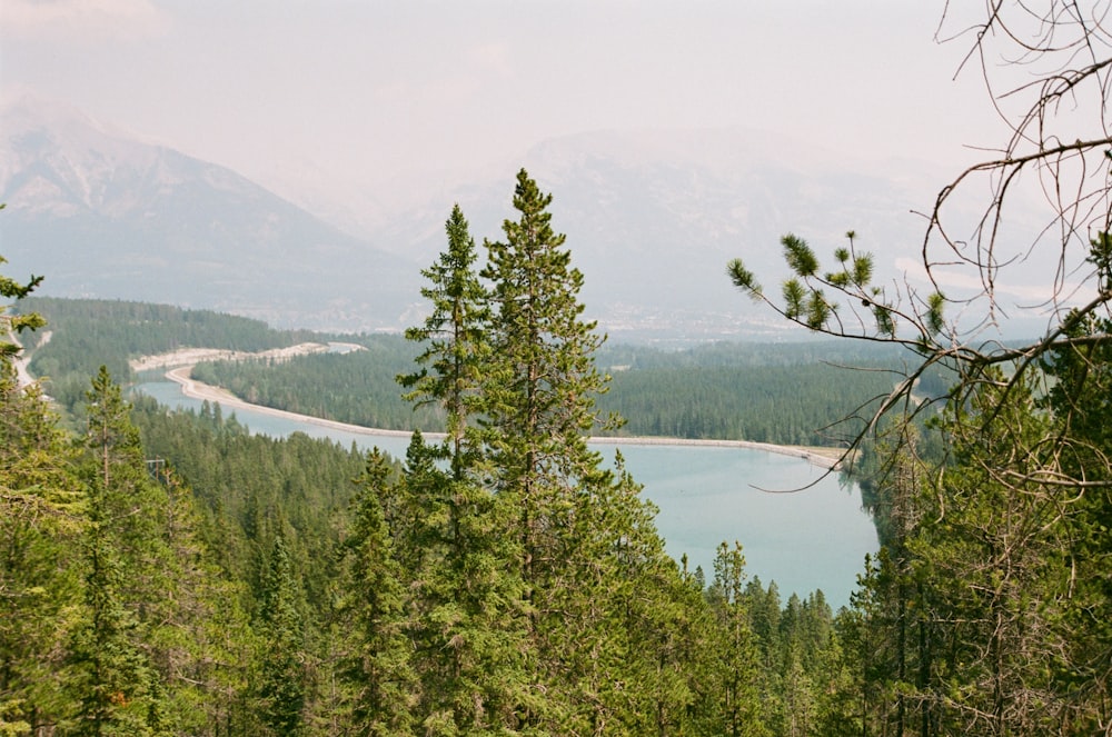 a lake surrounded by trees