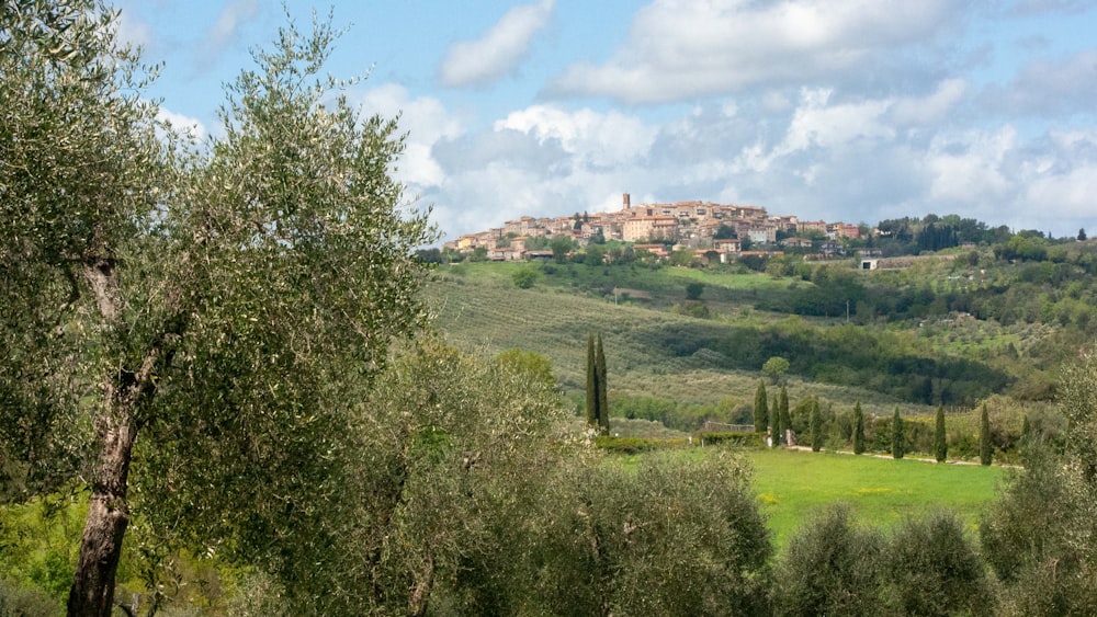 a green field with trees and a building in the distance