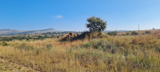 A peaceful rural landscape with a clear blue sky, grassy fields, and a small hill topped with a tree. In the background, there are distant hills and scattered shrubs creating a serene natural setting.