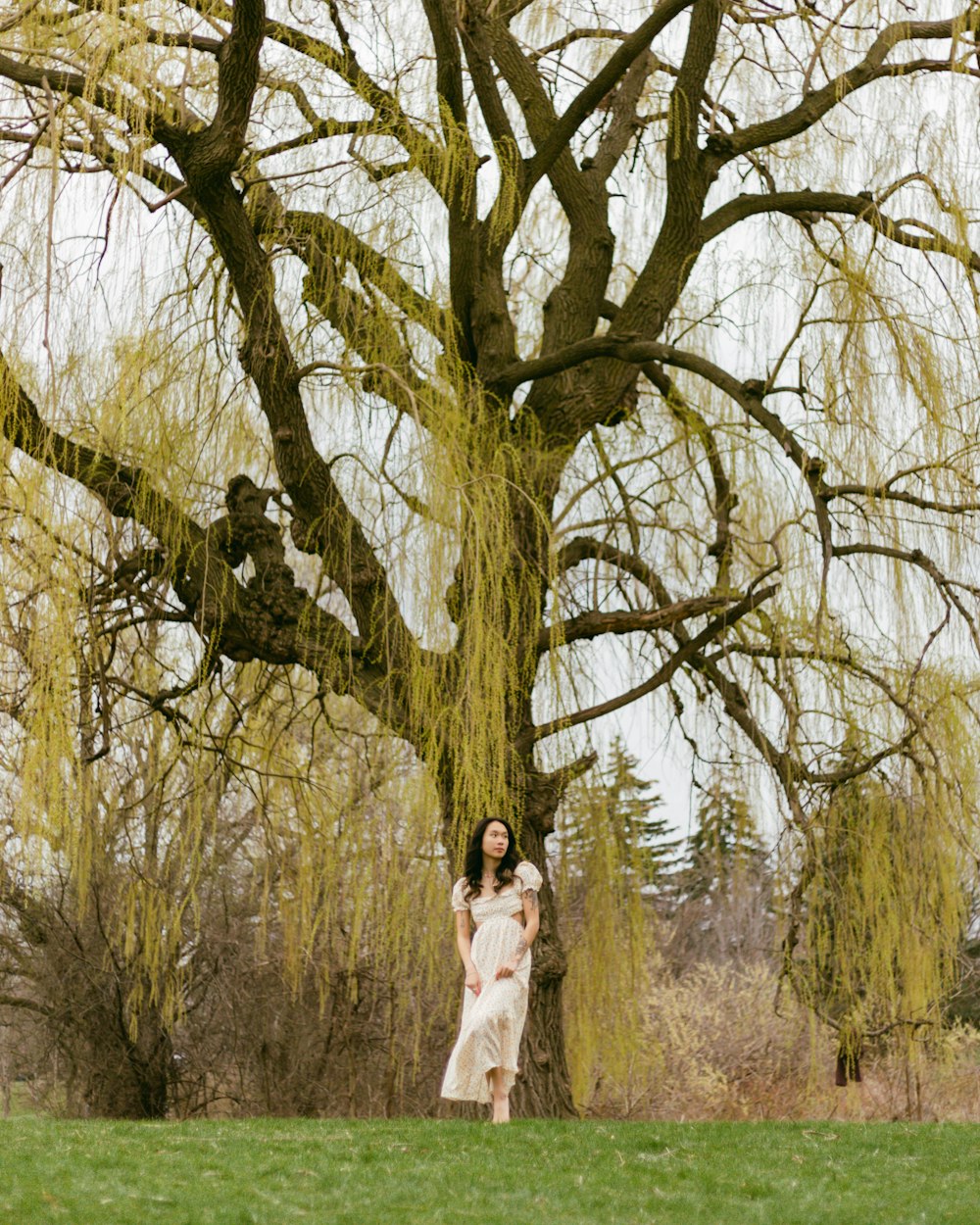 a person standing in front of a tree